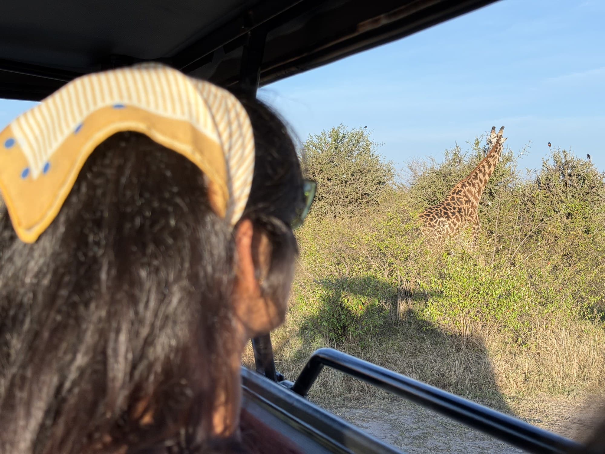 First time seeing a giraffe!