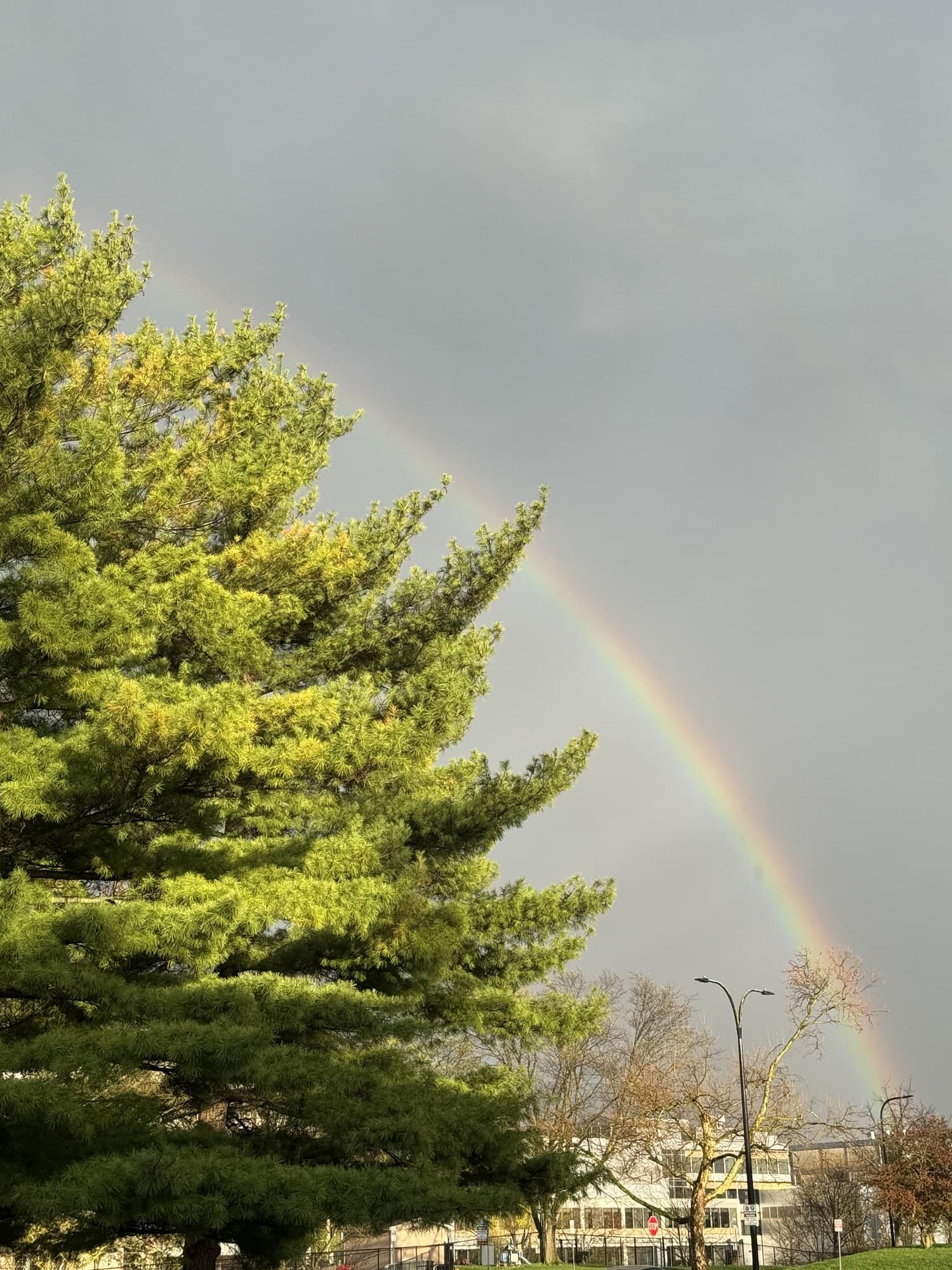 I like keeping a collection of rainbows