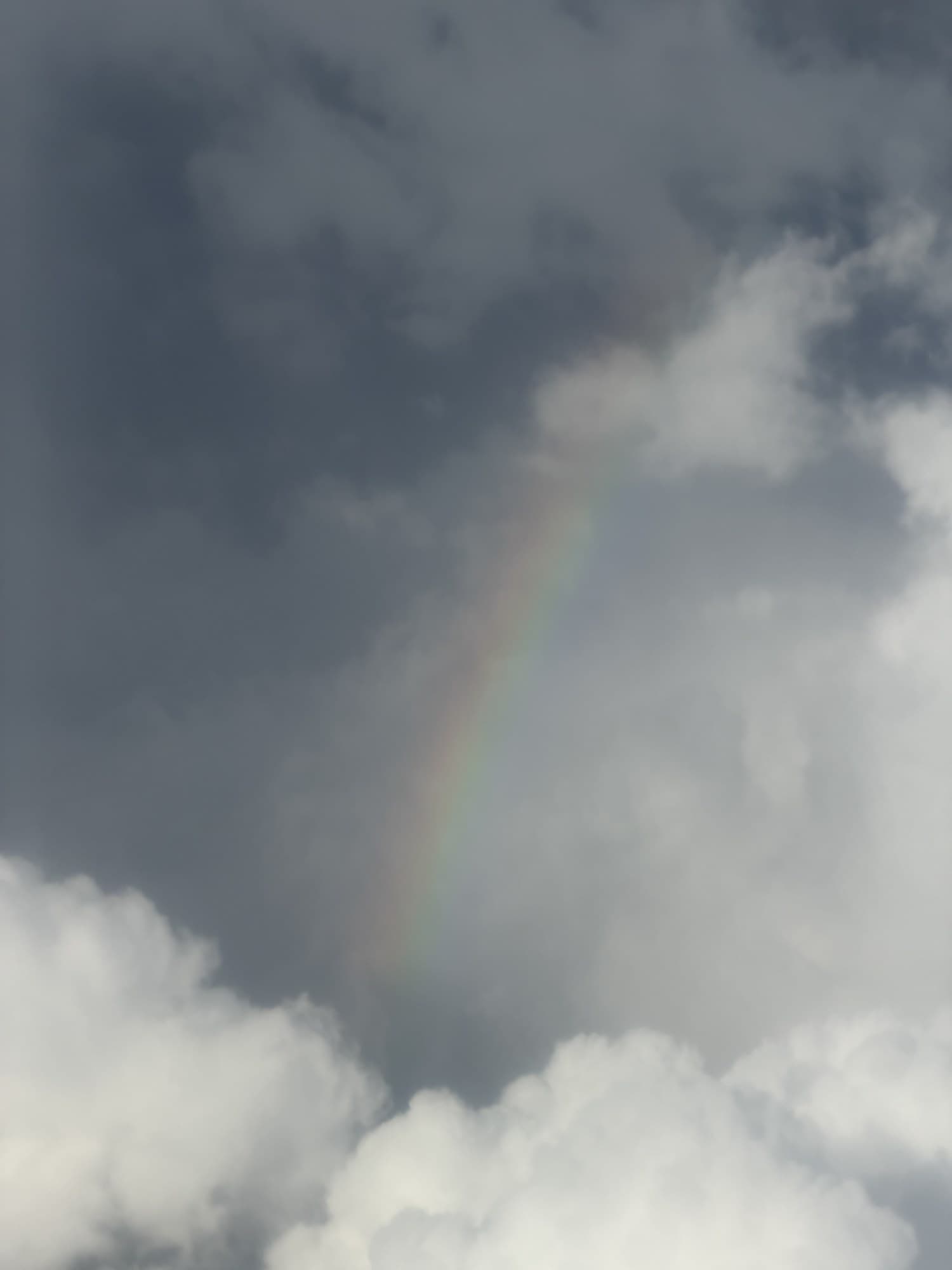 look up