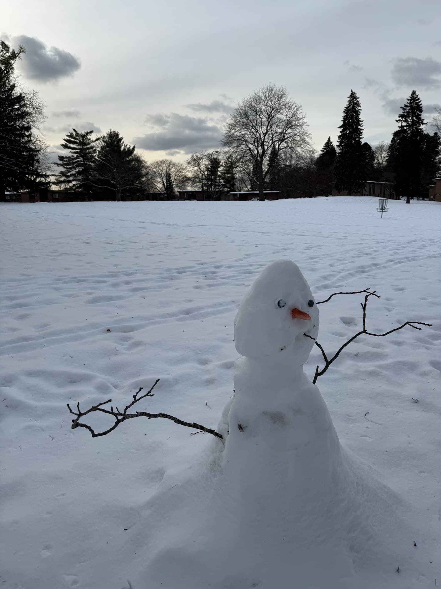 I love Michigan winters