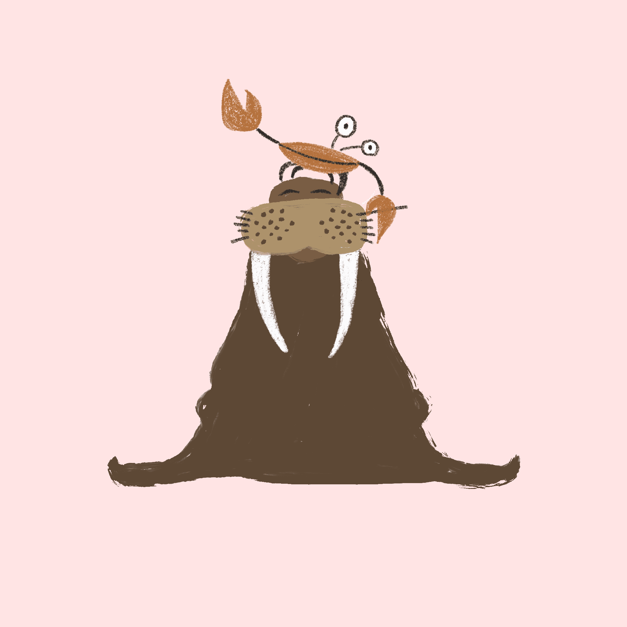 Seal — illustration